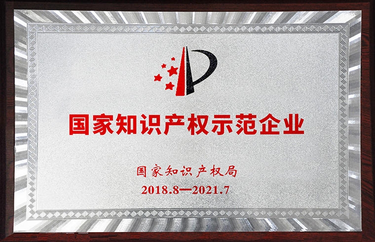國家知識產(chǎn)權(quán)示范企業(yè)