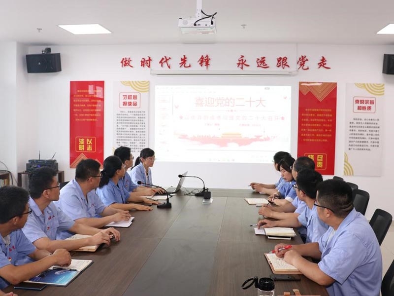 天瑞重工黨支部召開(kāi)會(huì)議傳達(dá)學(xué)習(xí)省第十二次黨代會(huì)精神